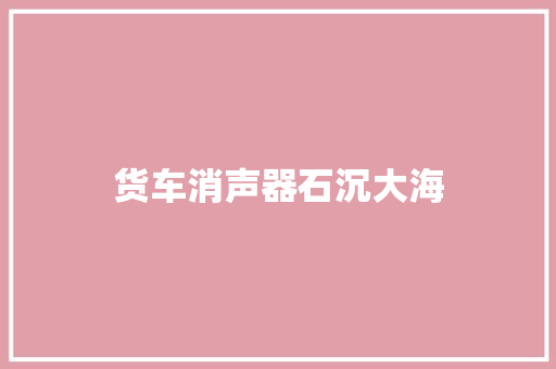 货车消声器石沉大海