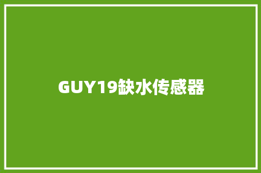 GUY19缺水传感器