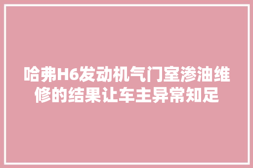 哈弗H6发动机气门室渗油维修的结果让车主异常知足