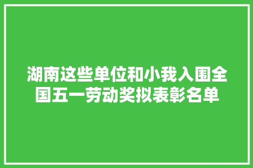 湖南这些单位和小我入围全国五一劳动奖拟表彰名单