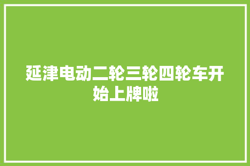延津电动二轮三轮四轮车开始上牌啦