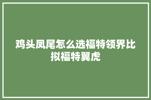 鸡头凤尾怎么选福特领界比拟福特翼虎