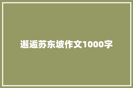 邂逅苏东坡作文1000字