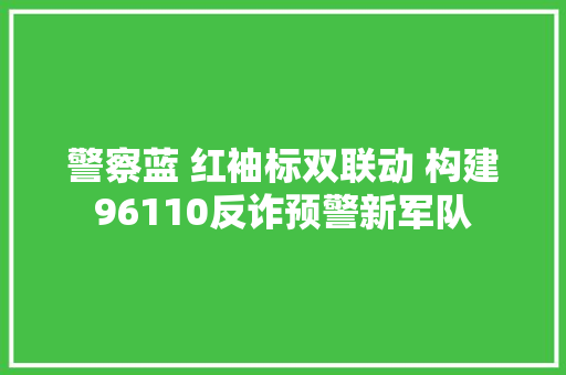 警察蓝 红袖标双联动 构建96110反诈预警新军队