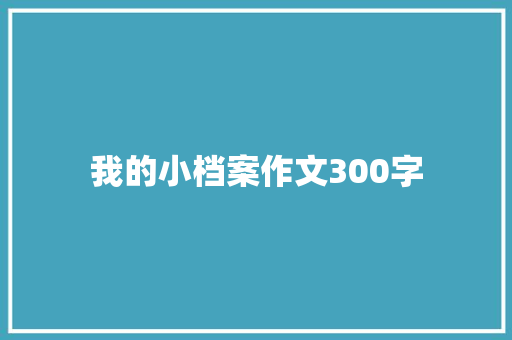 我的小档案作文300字