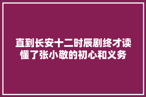 直到长安十二时辰剧终才读懂了张小敬的初心和义务