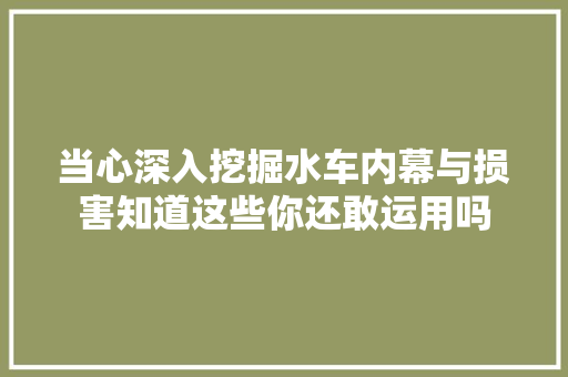 当心深入挖掘水车内幕与损害知道这些你还敢运用吗