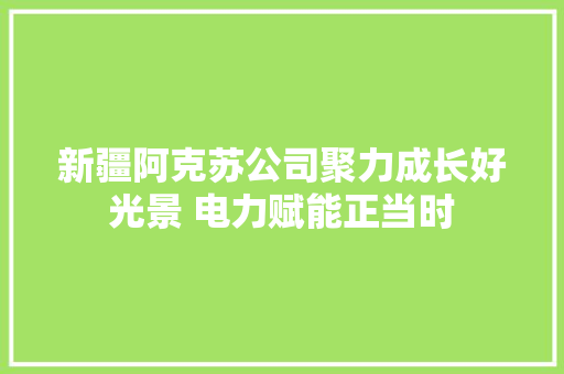 新疆阿克苏公司聚力成长好光景 电力赋能正当时