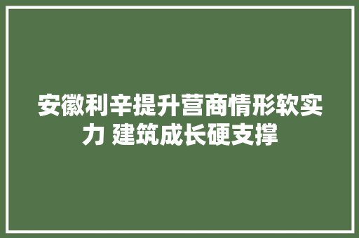 安徽利辛提升营商情形软实力 建筑成长硬支撑