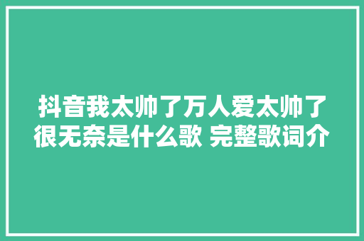 抖音我太帅了万人爱太帅了很无奈是什么歌 完整歌词介绍