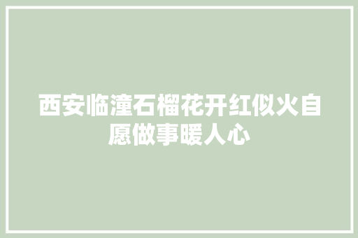 西安临潼石榴花开红似火自愿做事暖人心