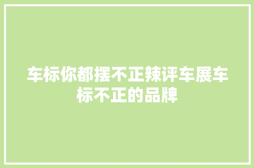 车标你都摆不正辣评车展车标不正的品牌