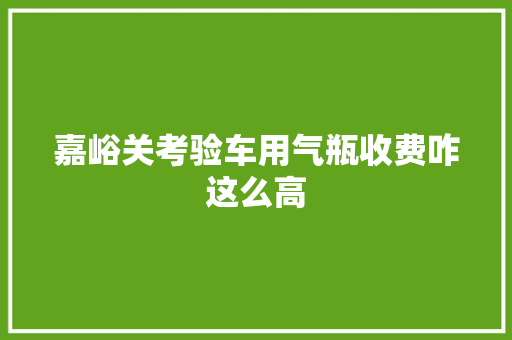 嘉峪关考验车用气瓶收费咋这么高 汽车知识
