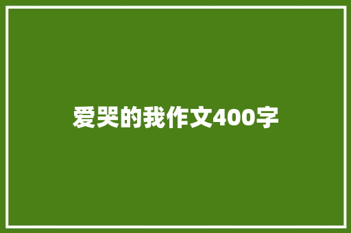 爱哭的我作文400字