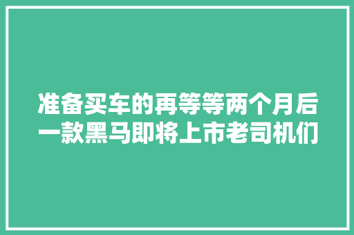 准备买车的再等等两个月后一款黑马即将上市老司机们评价一下