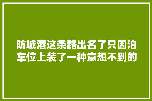 防城港这条路出名了只因泊车位上装了一种意想不到的地锁