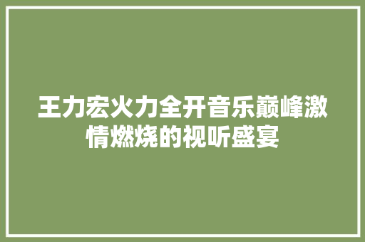 王力宏火力全开音乐巅峰激情燃烧的视听盛宴