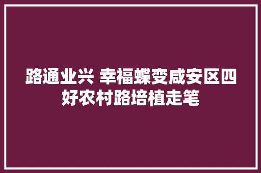 路通业兴 幸福蝶变咸安区四好农村路培植走笔 汽车知识