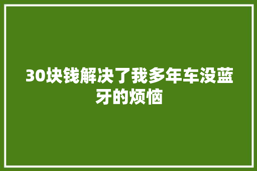 30块钱解决了我多年车没蓝牙的烦恼