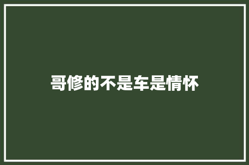 哥修的不是车是情怀