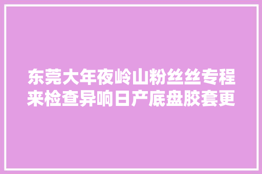 东莞大年夜岭山粉丝丝专程来检查异响日产底盘胶套更换