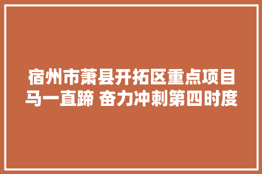 宿州市萧县开拓区重点项目马一直蹄 奋力冲刺第四时度