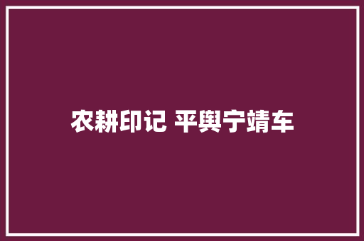 农耕印记 平舆宁靖车