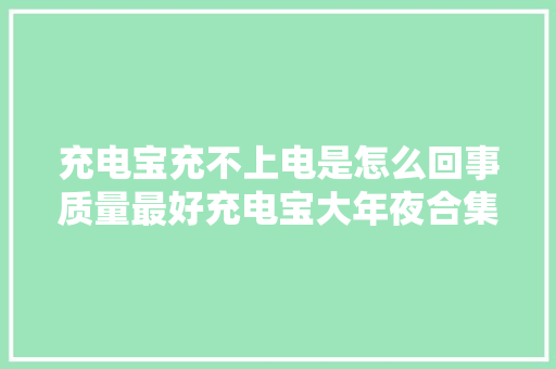 充电宝充不上电是怎么回事质量最好充电宝大年夜合集
