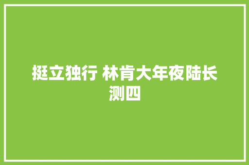 挺立独行 林肯大年夜陆长测四