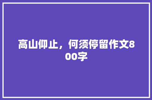 高山仰止，何须停留作文800字