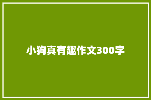 小狗真有趣作文300字