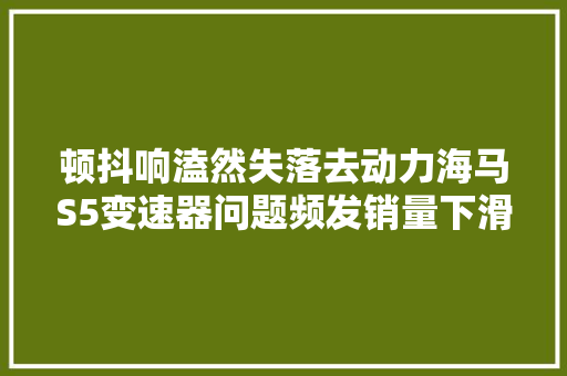 顿抖响溘然失落去动力海马S5变速器问题频发销量下滑