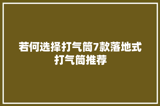 若何选择打气筒7款落地式打气筒推荐