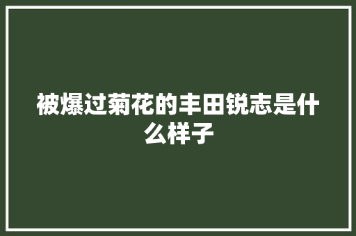 被爆过菊花的丰田锐志是什么样子