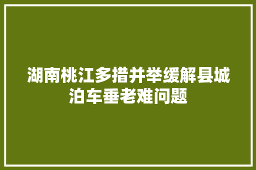 湖南桃江多措并举缓解县城泊车垂老难问题 汽车知识