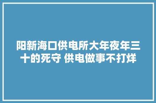 阳新海口供电所大年夜年三十的死守 供电做事不打烊