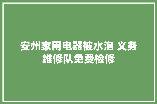 安州家用电器被水泡 义务维修队免费检修