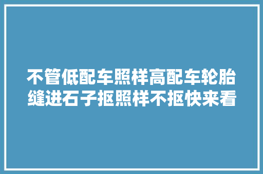 不管低配车照样高配车轮胎缝进石子抠照样不抠快来看看吧