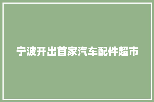 宁波开出首家汽车配件超市
