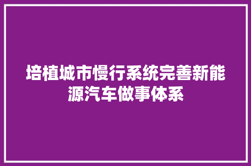 培植城市慢行系统完善新能源汽车做事体系