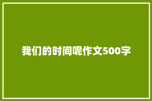 我们的时间呢作文500字