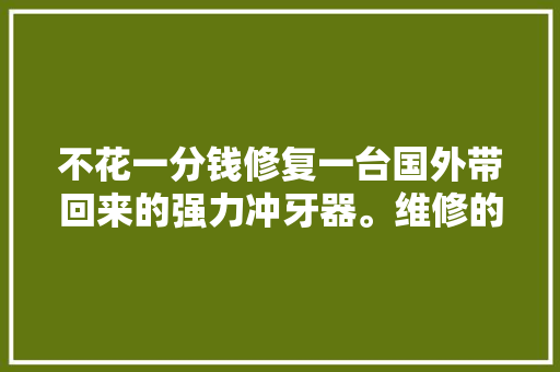 不花一分钱修复一台国外带回来的强力冲牙器。维修的乐趣