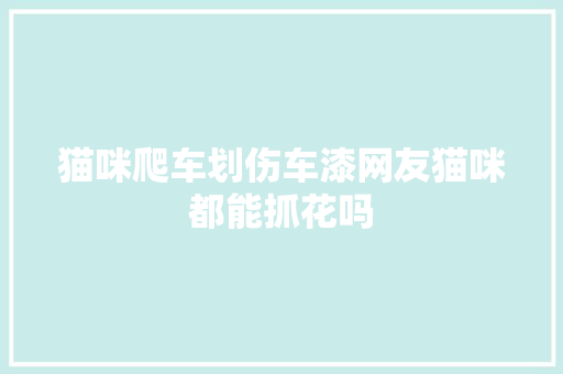 猫咪爬车划伤车漆网友猫咪都能抓花吗