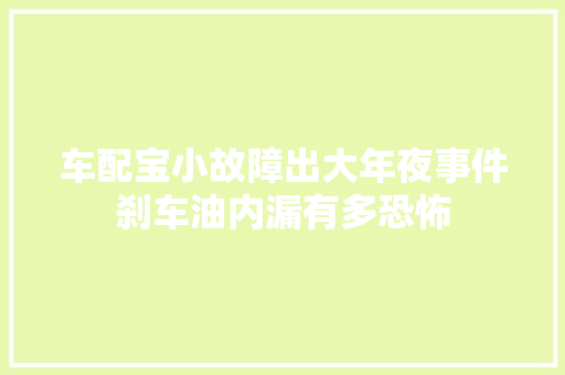 车配宝小故障出大年夜事件刹车油内漏有多恐怖