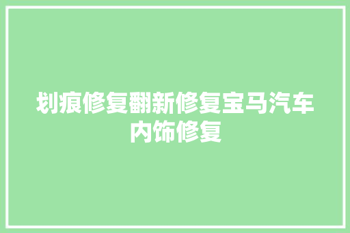 划痕修复翻新修复宝马汽车内饰修复