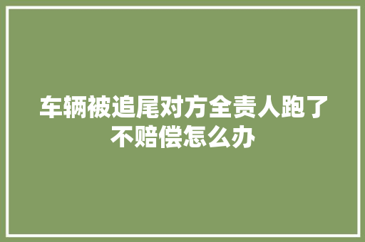 车辆被追尾对方全责人跑了不赔偿怎么办