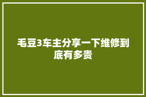 毛豆3车主分享一下维修到底有多贵 汽车知识
