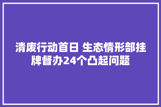 清废行动首日 生态情形部挂牌督办24个凸起问题