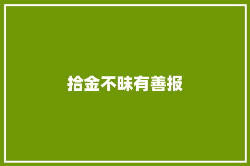 拾金不昧有善报