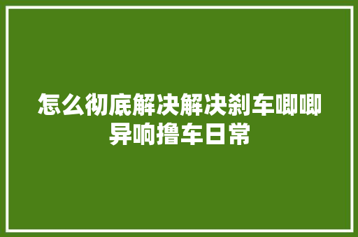 怎么彻底解决解决刹车唧唧异响撸车日常